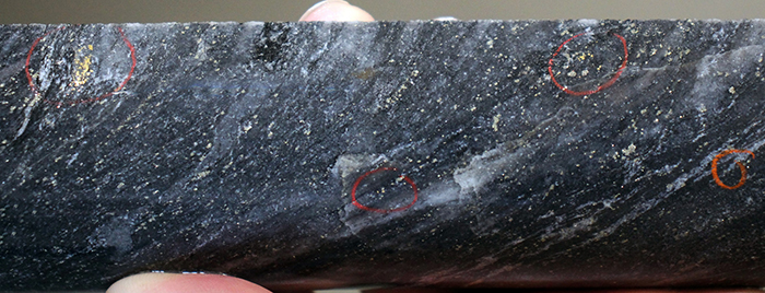 Image of gold mineralization from LP Fault drill hole BR-118.Â Mineralization depicted in this image is from a selective interval and is not necessarily indicative of mineralization on the property.