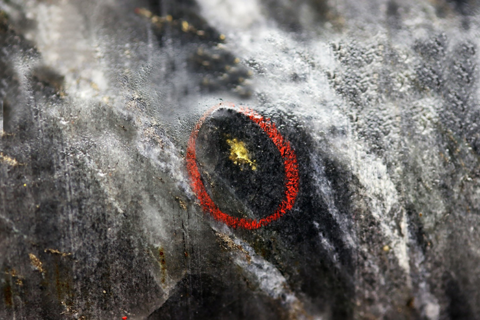 Image of gold mineralization from the Dixie Limb zone of BR-085, at 740 metres vertical depth, and 1,026 metres down-hole. Mineralization depicted in this image is from a selective interval and is not necessarily indicative of mineralization on the property.