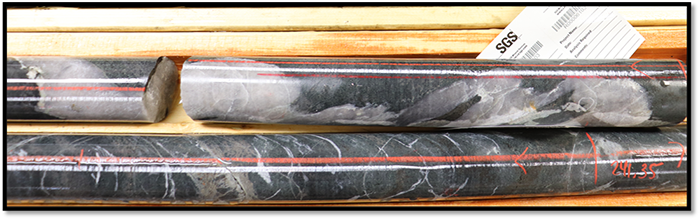 Comparison of Arrow zone drill core (top) and Hinge zone drill core (bottom). Both zones display identical hydrothermal biotite alteration, trace accessory sulphides and visible gold. Both zones are developed at the same type of geological contact.