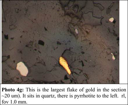 Free gold (yellow) within a sample from the LP Fault which assayed 130.97 g/t gold (Ross, 2019).