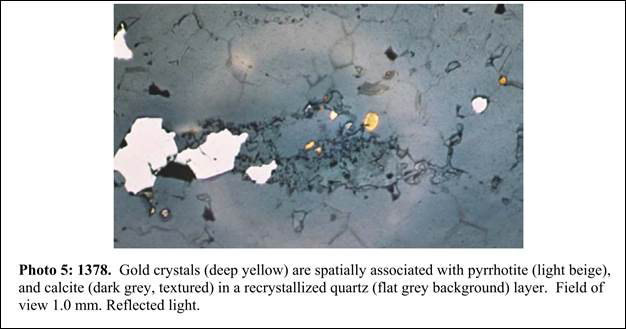 Petrographic report completed in 2004 by Fronteer Gold Corp. showing free gold (yellow) from the Dixie Limb zone (Ross, 2004).